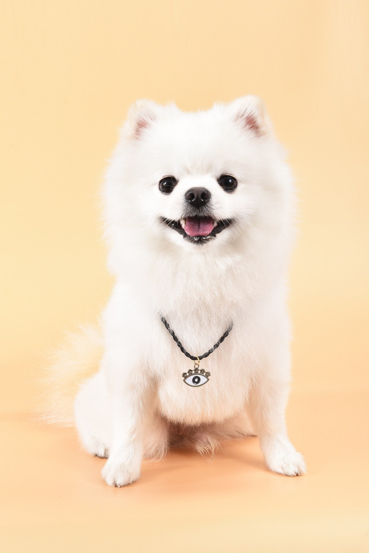 Hingebungsvoller Schutz - Bronze-Emaille Böses Auge Hundemarke